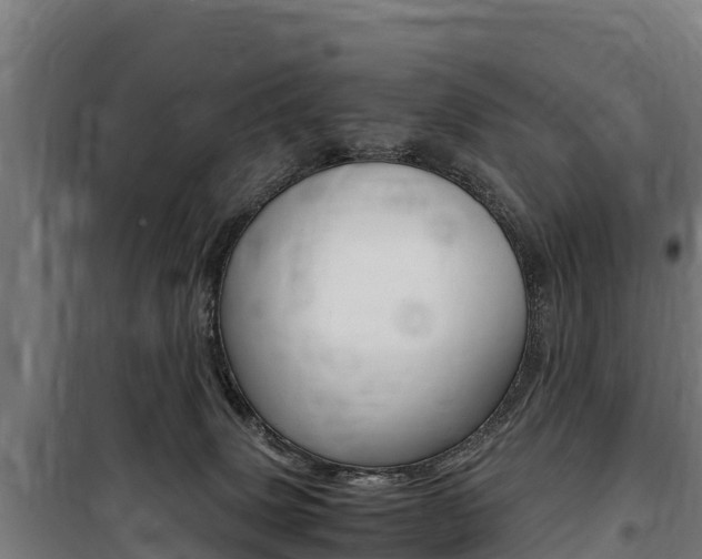 X0000100850083200806200812