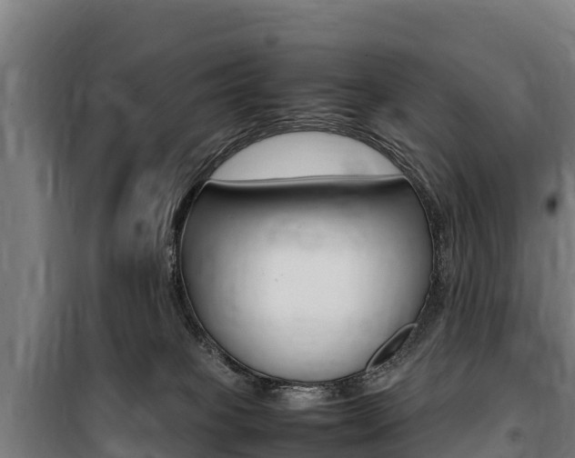 X0000100850085200806200812