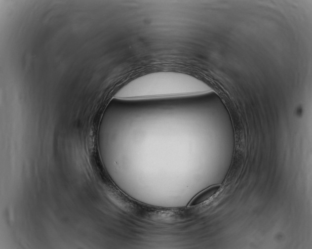 X0000100850086200806200812