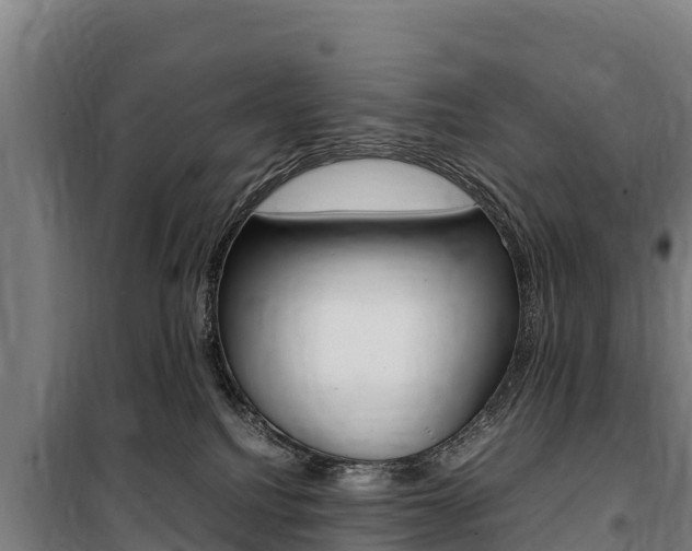 X0000100850088200806200812