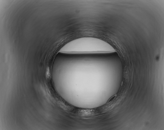 X0000100850089200806200812