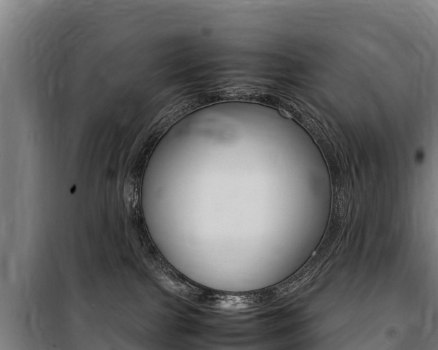 X0000100850091200806200812