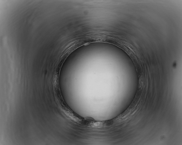 X0000100850092200806200812