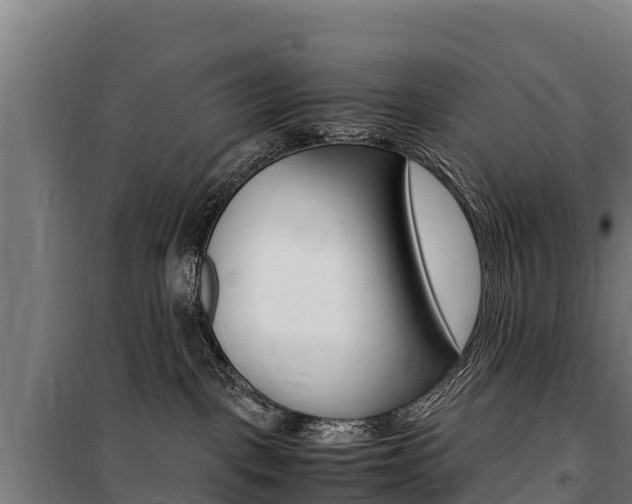 X0000100850093200806200812