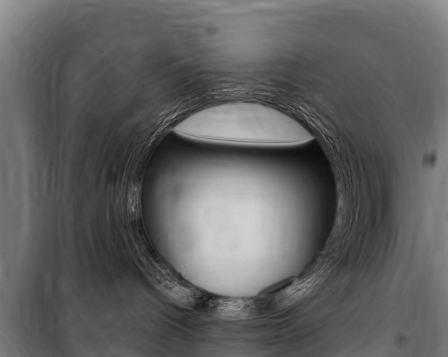 X0000100850096200806200812