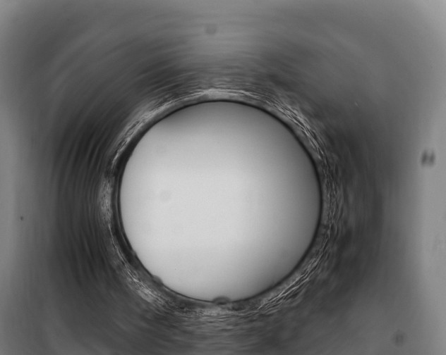 X0000100850098200806200811