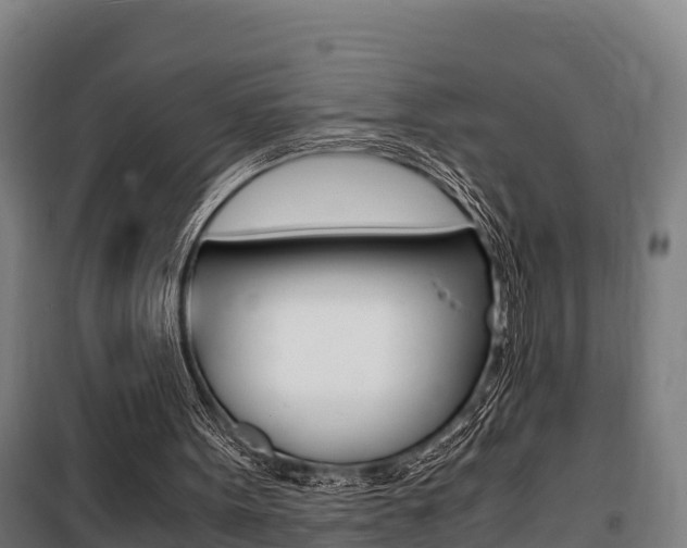 X0000100850099200806200811