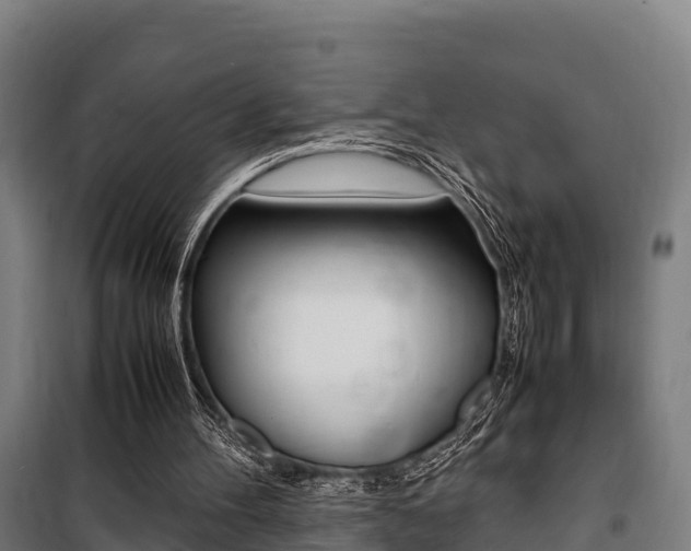 X0000100850100200806200811