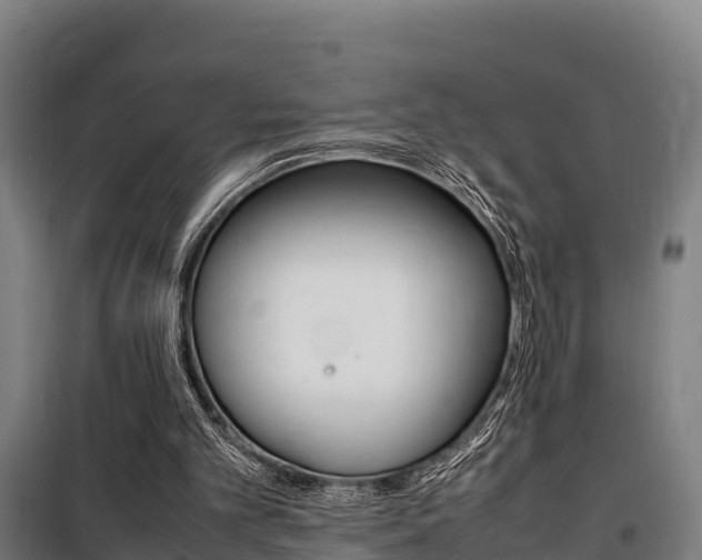 X0000100850101200806200811