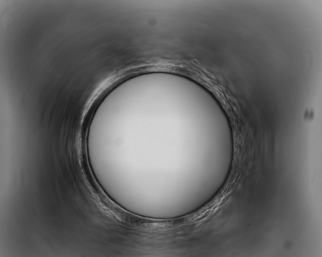 X0000100850102200806200811