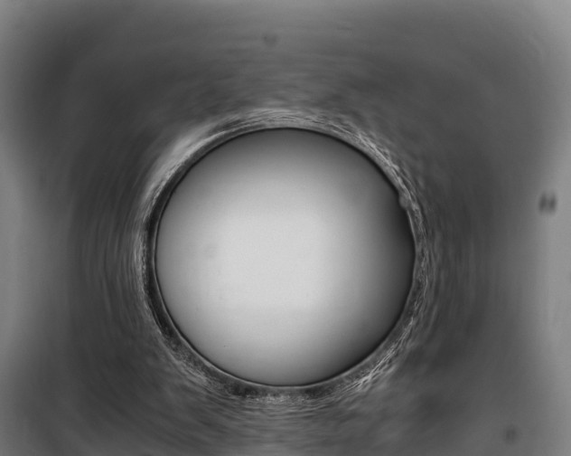 X0000100850103200806200811