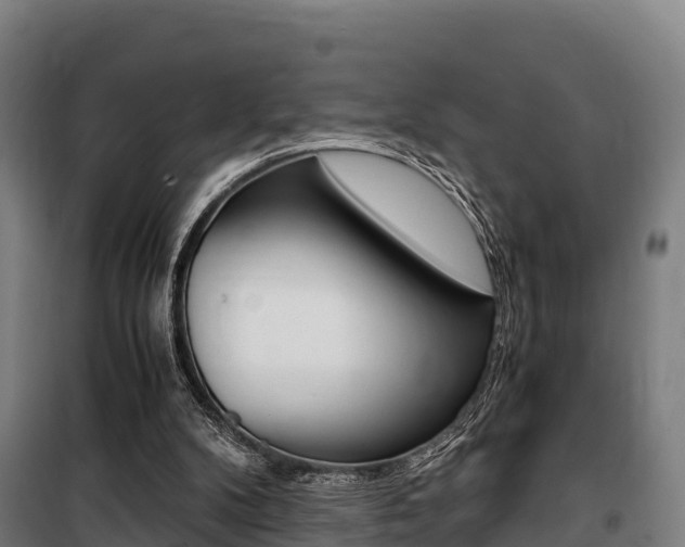 X0000100850104200806200811
