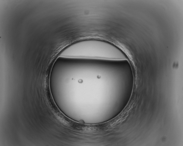 X0000100850105200806200811