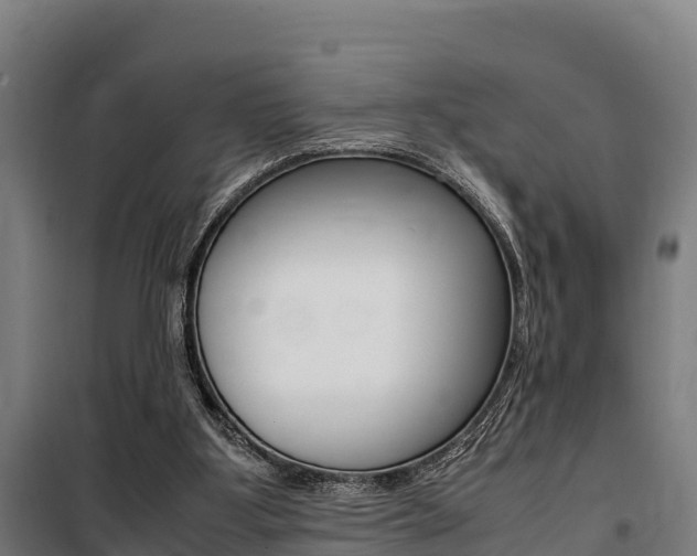 X0000100850107200806200811
