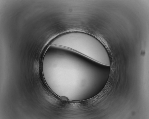 X0000100850108200806200811