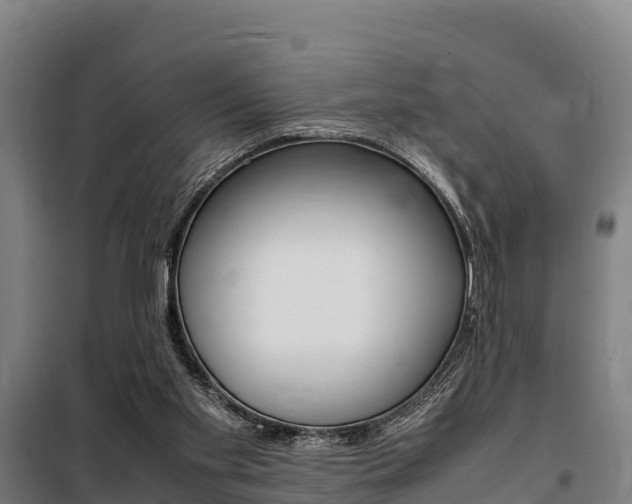 X0000100850109200806200811