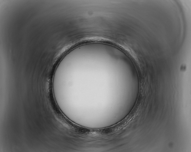X0000100850111200806200811