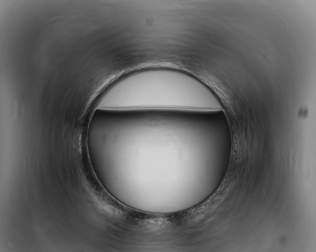 X0000100850112200806200811