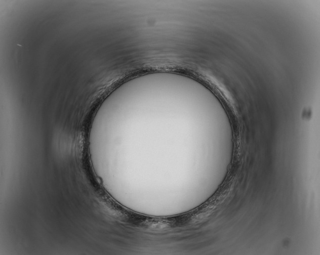 X0000100850113200806200811