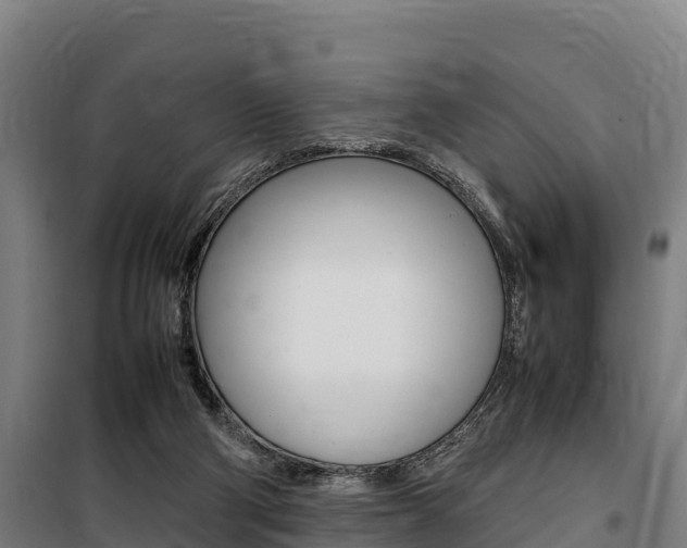X0000100850114200806200811