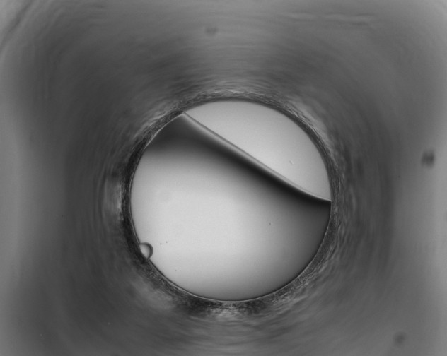 X0000100850115200806200811
