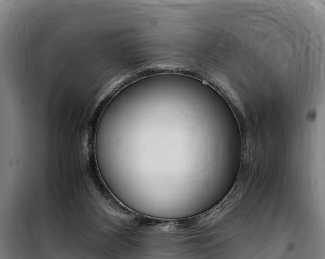 X0000100850116200806200811