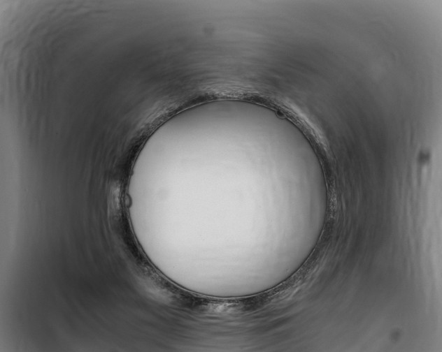 X0000100850117200806200811