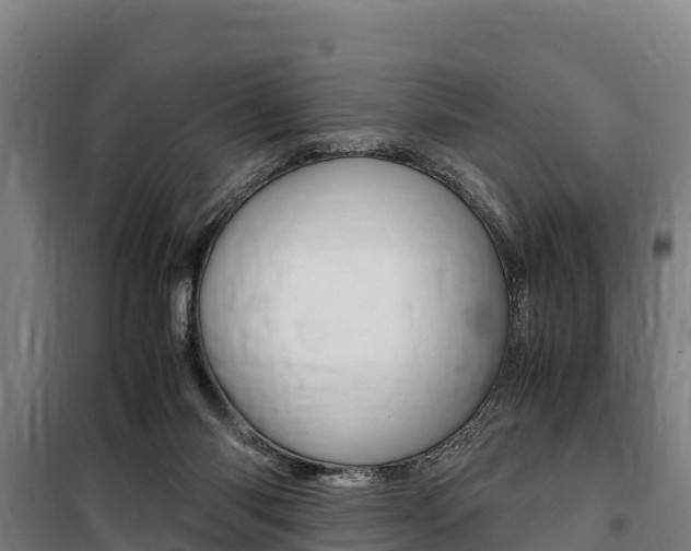 X0000100850118200806200811