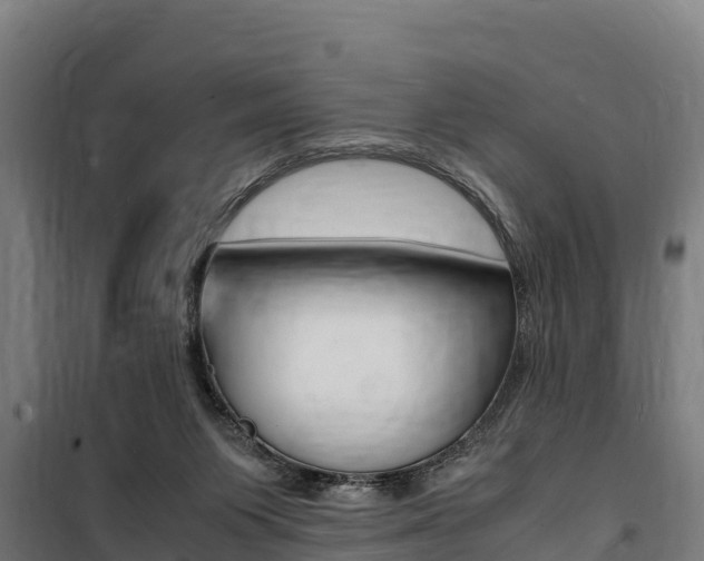X0000100850119200806200811