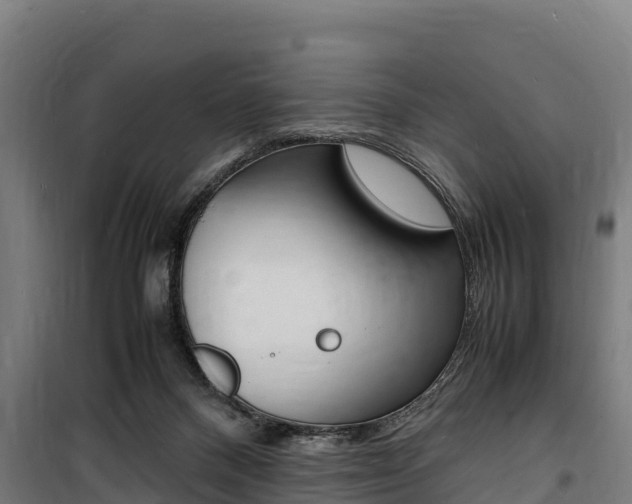 X0000100850120200806200811