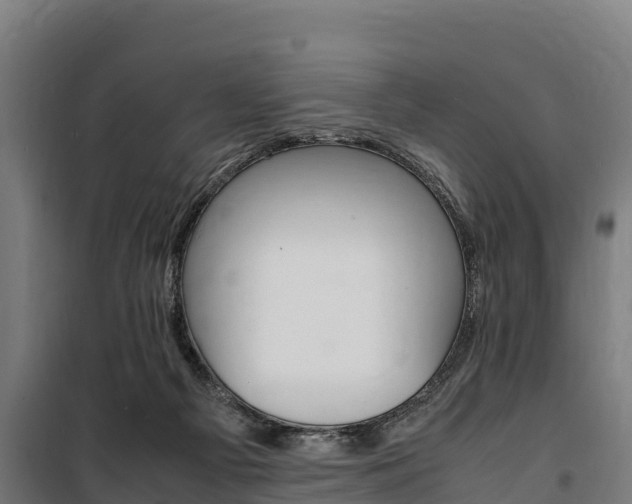 X0000100850121200806200811