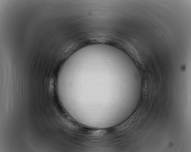 X0000100850122200806200811