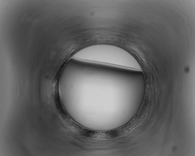 X0000100850123200806200811
