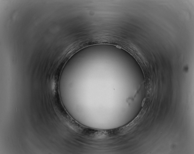 X0000100850124200806200811
