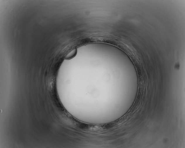 X0000100850125200806200811