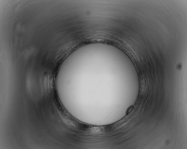 X0000100850126200806200811