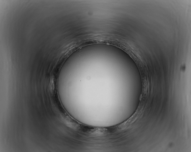 X0000100850128200806200811