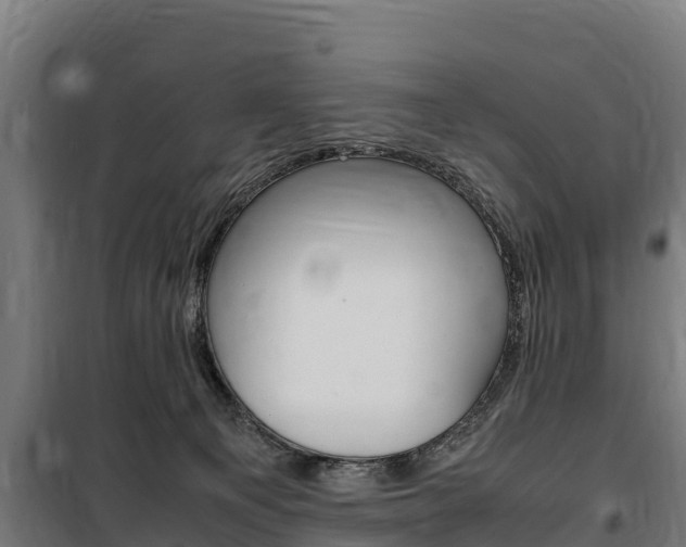 X0000100850129200806200811