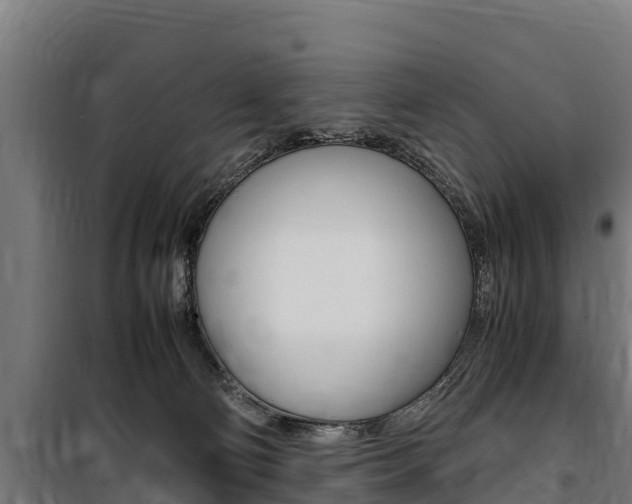 X0000100850130200806200811