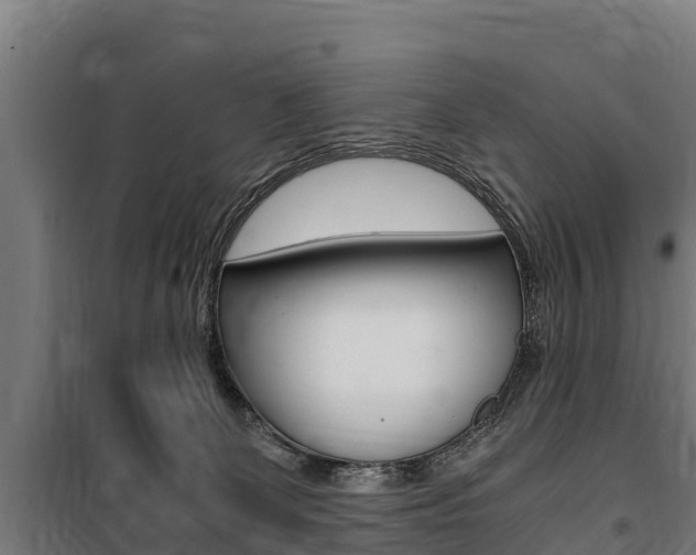 X0000100850131200806200811