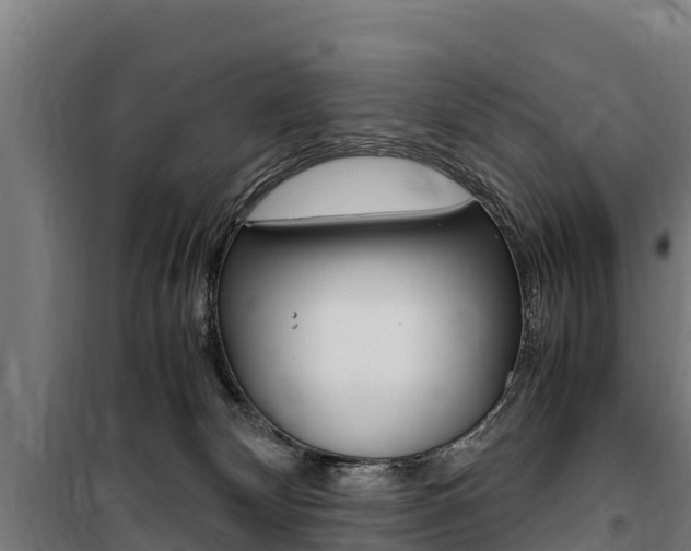 X0000100850132200806200811