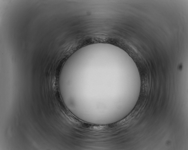 X0000100850134200806200811