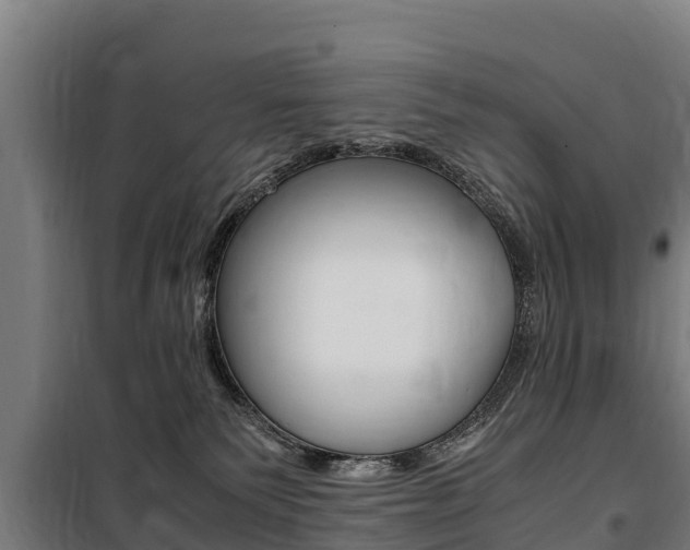 X0000100850135200806200811