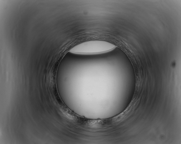 X0000100850136200806200811