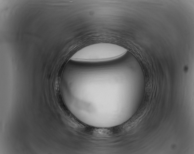 X0000100850137200806200811