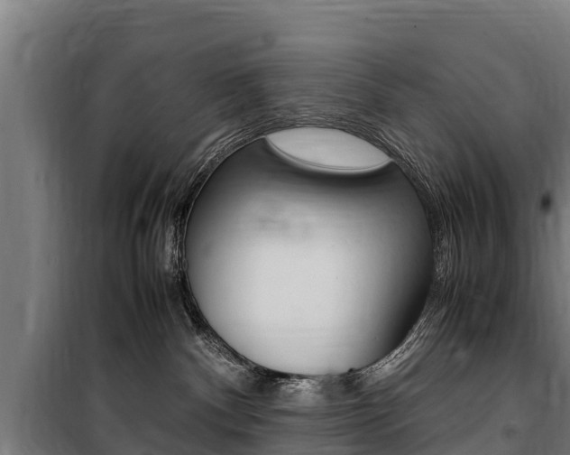 X0000100850140200806200811