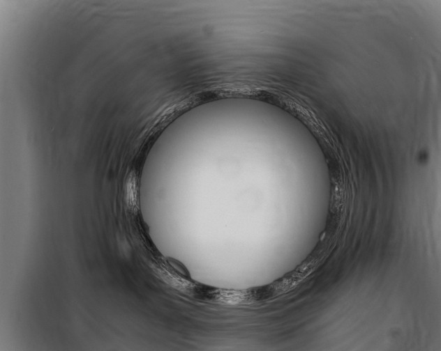 X0000100850143200806200811