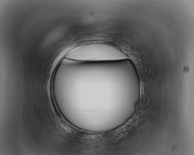 X0000100850147200806200810