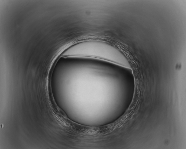X0000100850148200806200810