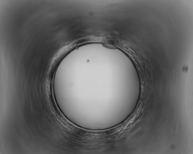 X0000100850149200806200810